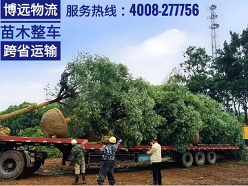 整車直達(dá)安全保時(shí)效 4008-277756.jpg 整車直達(dá)安全保時(shí)效 4008-277756.jpg